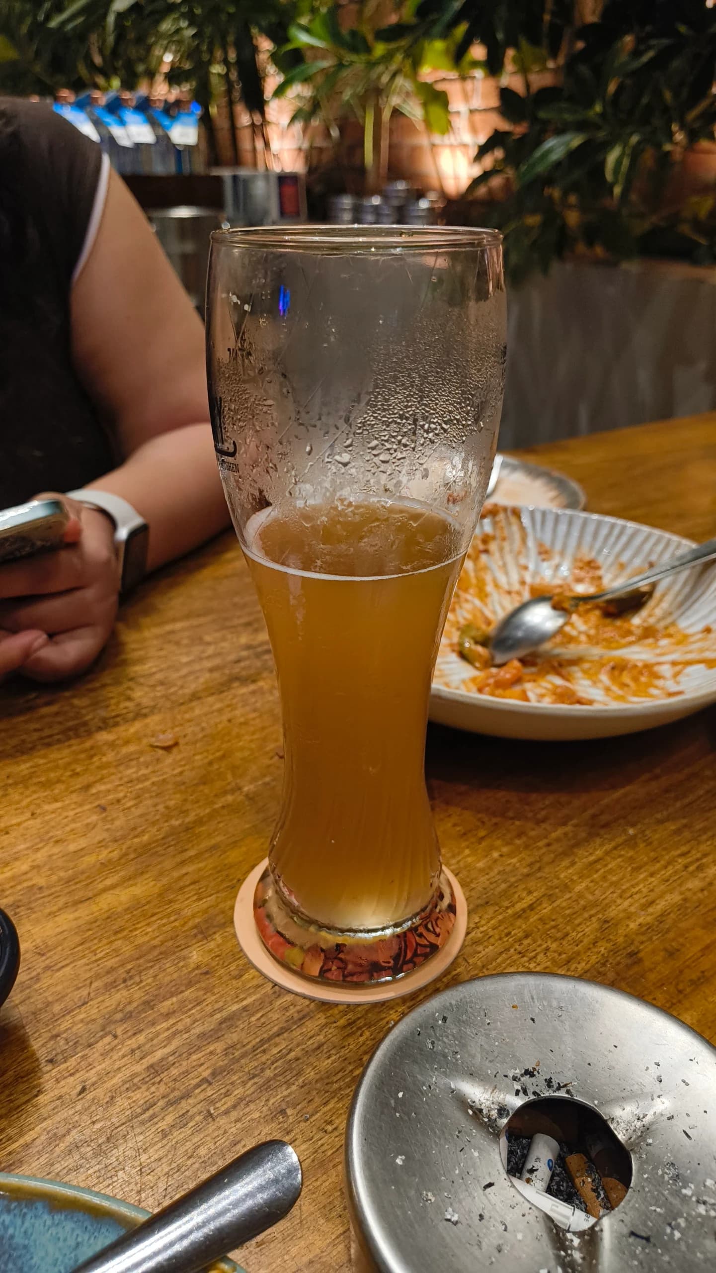Ashna Gaude's beer log