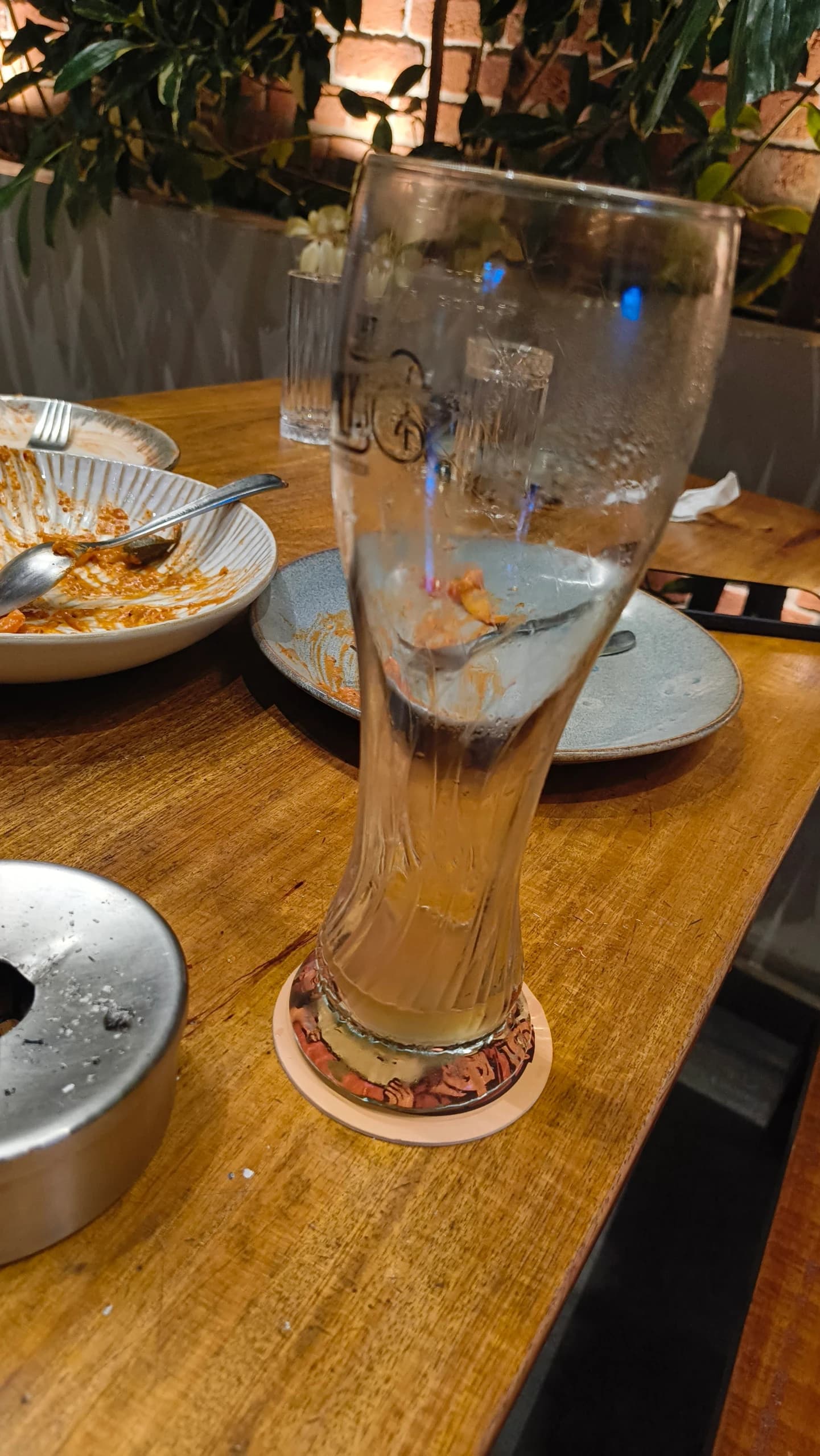 Ashna Gaude's beer log